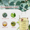 Organisches Eukalyptus-Hautpflege-Massage-Öl für Frau