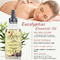 Rosemary Eucalyptus Lavender Rose Oil-Feuchtigkeitscreme-Massage-Gesichts-Körper-Haar des Eigenmarken-Eukalyptus-ätherischen Öls natürliches